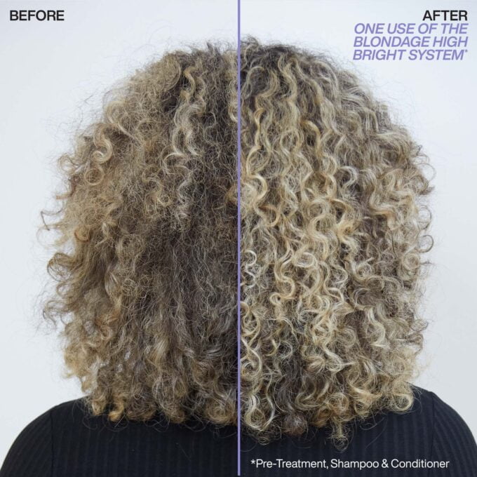 Redken Color Extend Blondage High Bright Pre-Shampoo Treatment 250ml Halo Hair & Skin - khdskinhairbeautyau.com